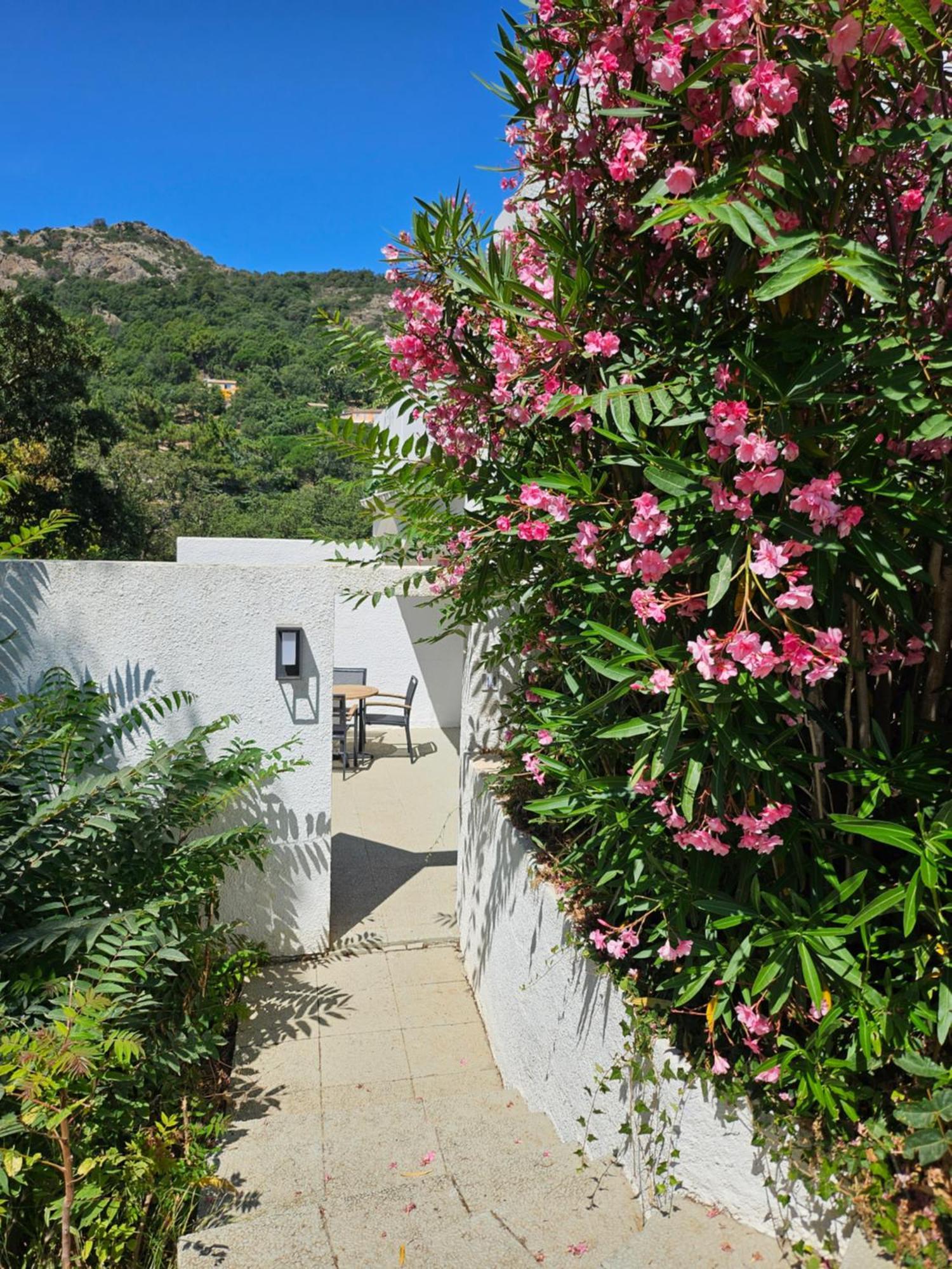 Capsud, La Garde-Freinet Apartment Exterior foto